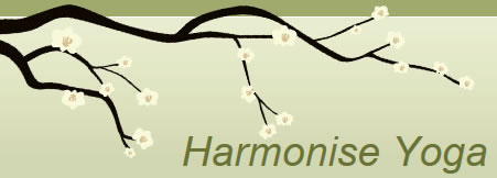 Harmonise Yoga promotes well being and happiness, harmonising breath, body and mind.